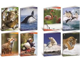 Pack 10 PZ MAXIQUADERNI 100 GR. LINEA ANIMALI